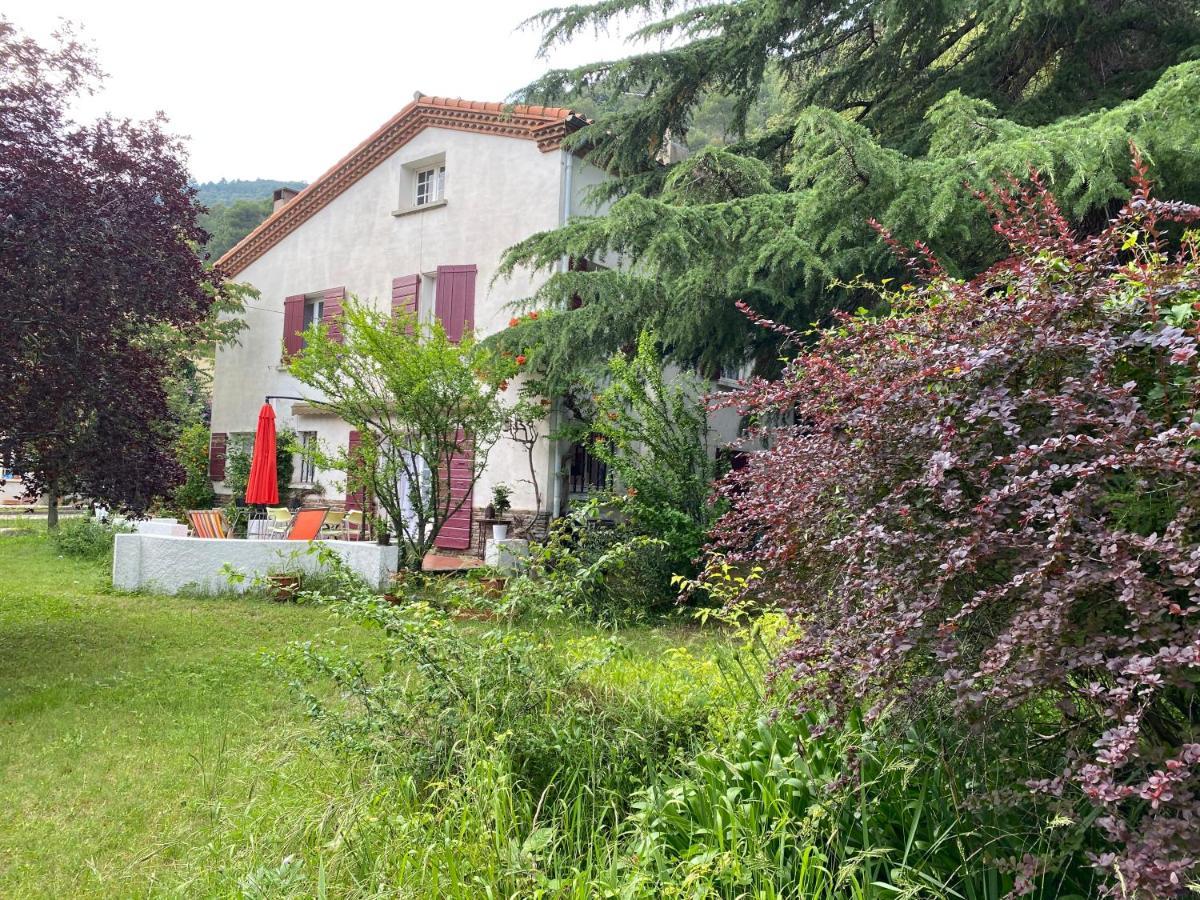 Villa Riviera Chambres Privees Amélie-les-Bains-Palalda Exterior foto